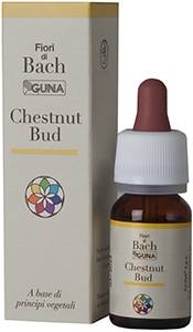 Guna Fiori di Bach Chestnut Bud Spontaneità Apprendimento
