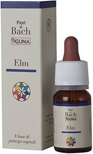 Guna Fiori di Bach Elm Misura Risolutezza