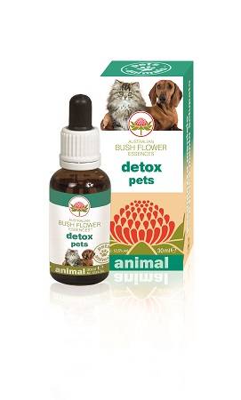 Australian Bush Flower Detox Pets Sollievo Emotivo e Fisico Fiori Australiani per Animali