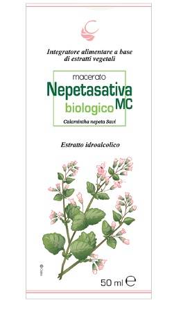 Macerato Nepetasativa Biologico