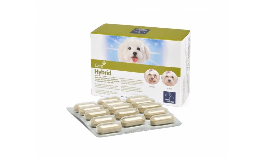 Camon Hybrid Integratore per Cani e Gatti
