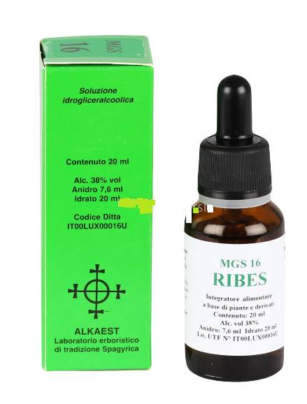 Alkaest Ribes Nigrum Macerato Glicerico