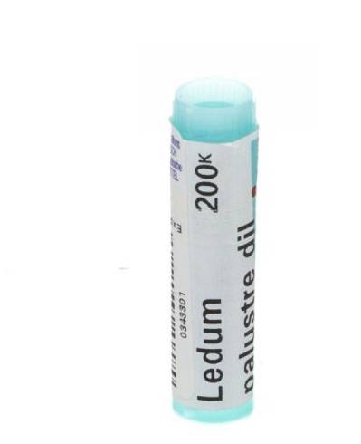 Boiron Ledum Palustre 200 K Globuli