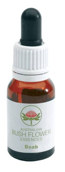 Australian Bush Flowers Boab Fiori Australiani