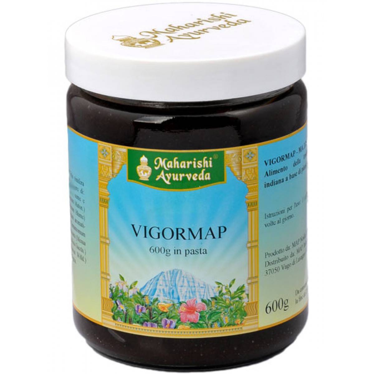 Map Italia Vigormap Integratore ricostituente 600 g
