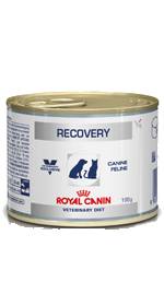 Royal Canin Recovery Cibo umido per la convalescenza di cani e gatti 195 g