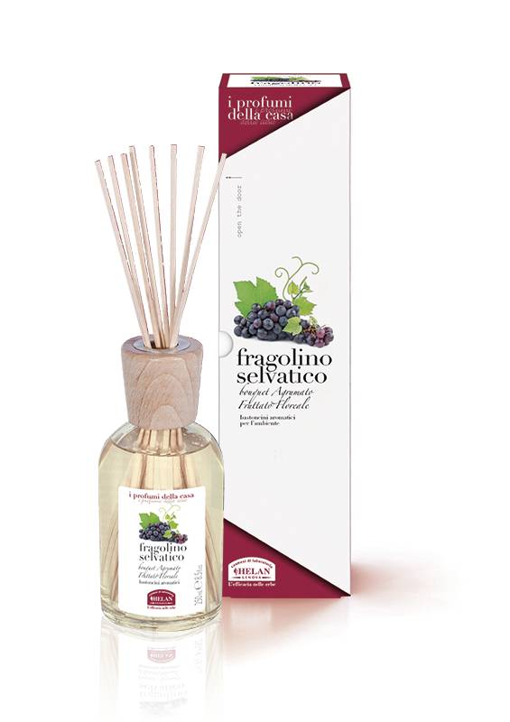 Helan Bastoncini Aromatici per la Casa Fragolino Selvatico 250 ml