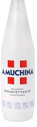 Amuchina Soluzione Disinfettante Concentrata 1 Lt