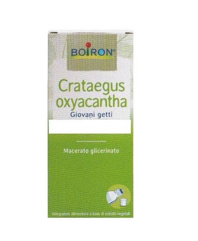 Boiron Crataegus Oxyacantha Biancospino Macerato Glicerico 60 ML