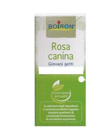 Boiron Rosa Canina Macerato Glicerico 60 ML