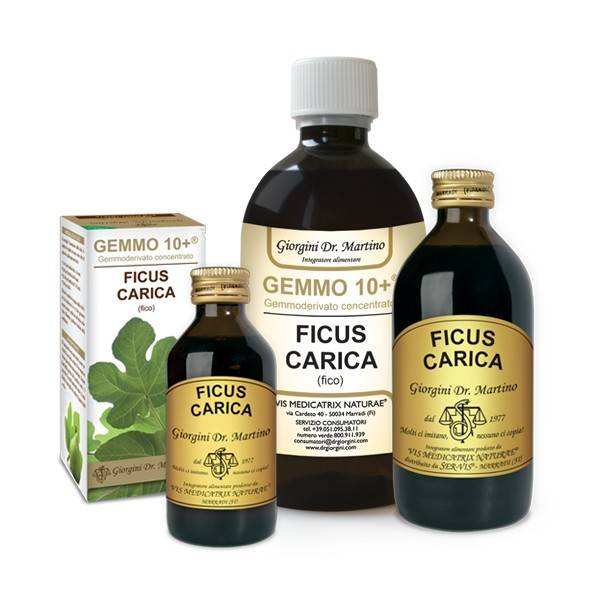 Dr Giorgini Gemmo 10+ Ficus Carica Integratore a Base di Gemmoderivato di Fico 500 ml