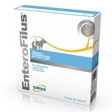 DRN Enterofilius Fiale con fermenti lattici per cani e gatti 12 fiale