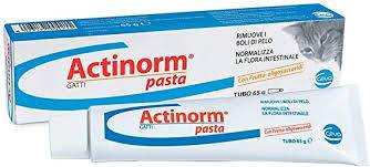 Actinorm Pasta Gatti per rimuove boli di pelo 65 g