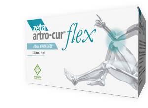 Erbozeta Zeta Artro - Cur Flex 20 Stick