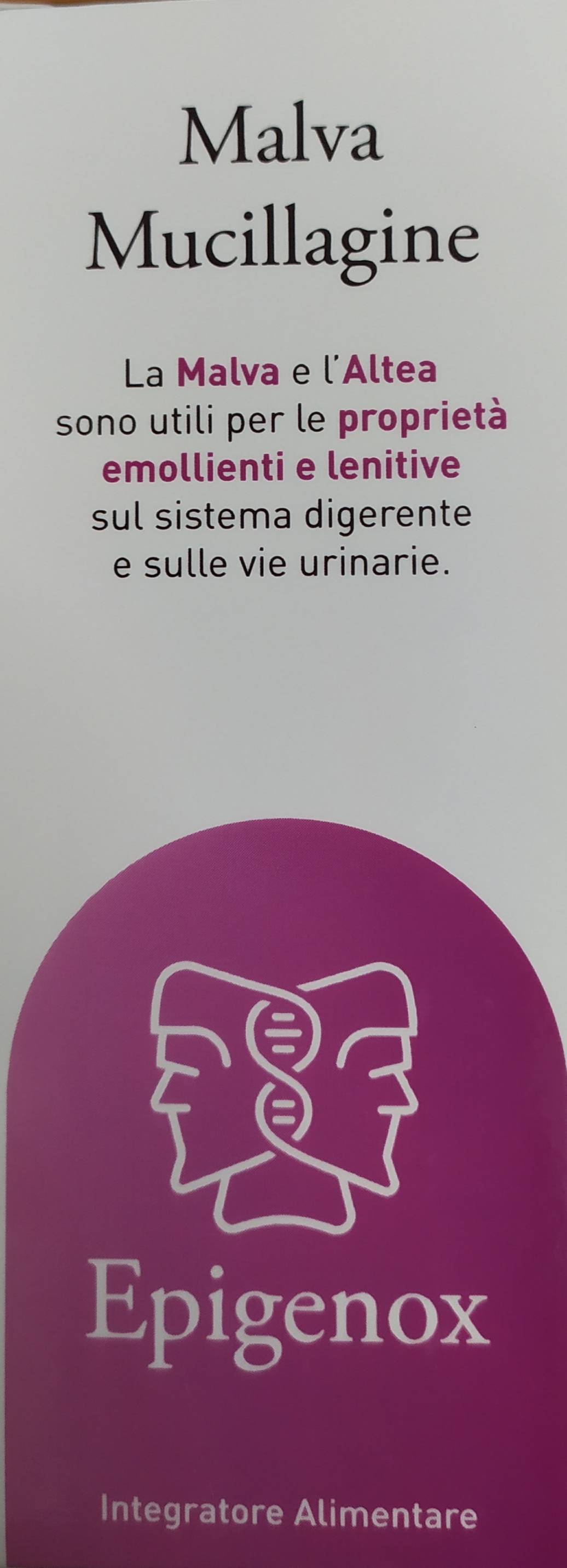 Epigenox Mucillagine di Malva Integratore per l'Intestino 200 ml