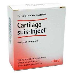 HEEL CARTILAGO SUIS INJEEL 10 FIALE