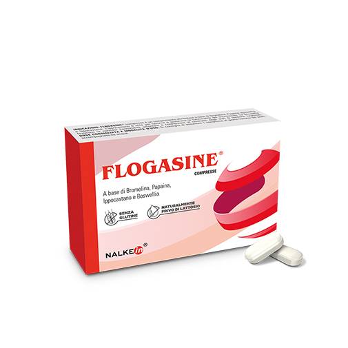 Nalkein Flogasine Integratore per il Microcircolo 20 Compresse