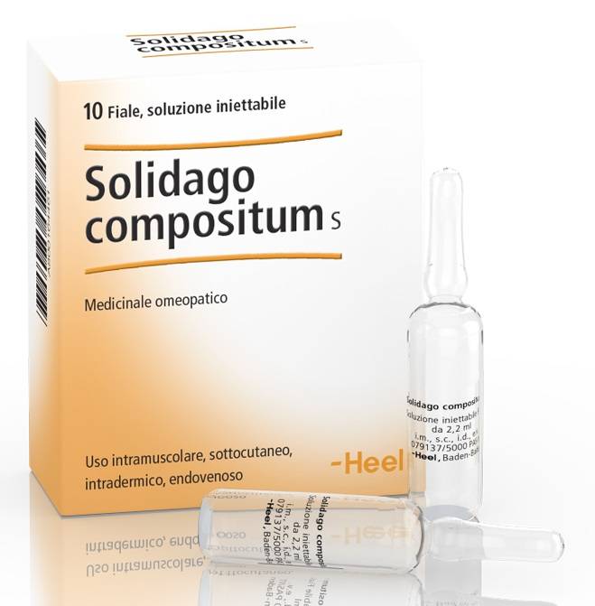 Heel Solidago Compositum 10 Fiale da 2,2 ml