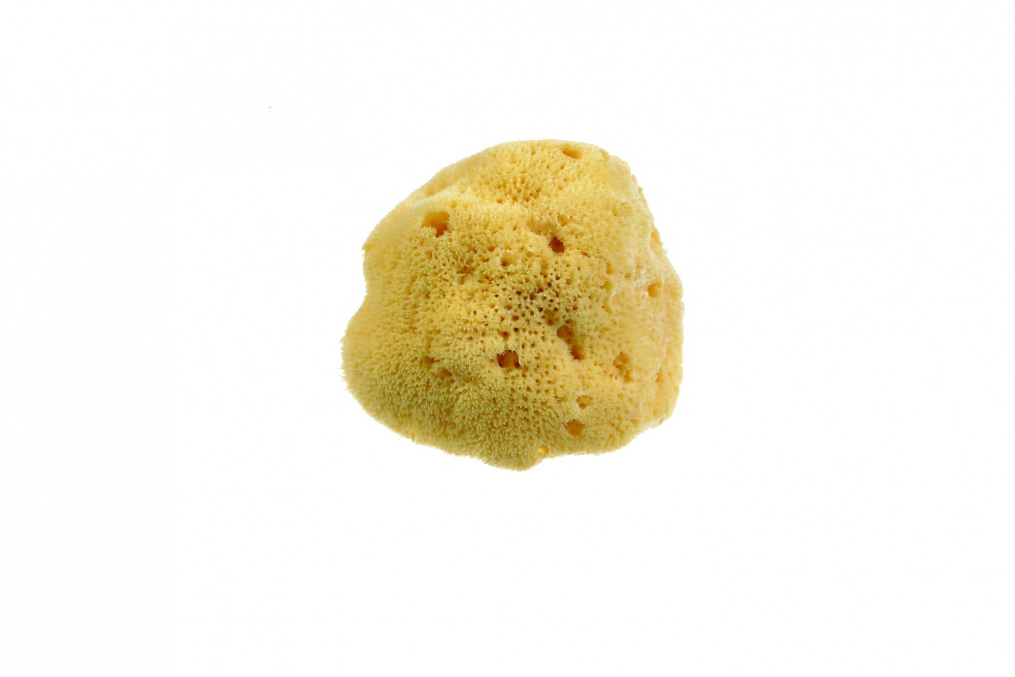 Beautytime Spugna Naturale Fine Dama Misura Media