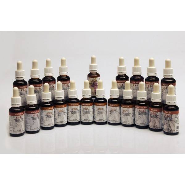 Adamah E.I.E. Echinacea Estratto Idroenzimatico Integratore Alimentare per le Vie Respiratorie 60 ml