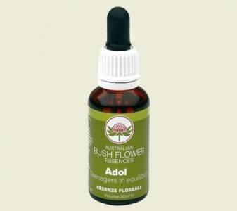 Australian Bush Flower Essenza Combinata Adol Teenagers in Equilibrio