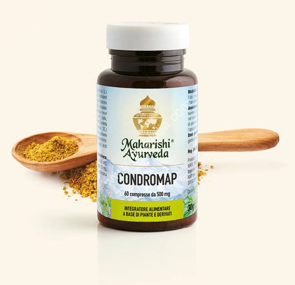 Map Italia Condromap Integratore per Muscoli e Articolazioni 60 compresse