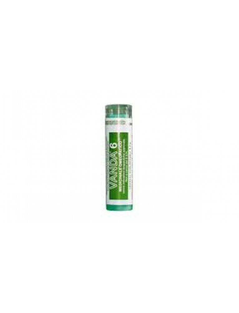 Vanda 6 Contenitore Multidose 4 G 80 Granuli