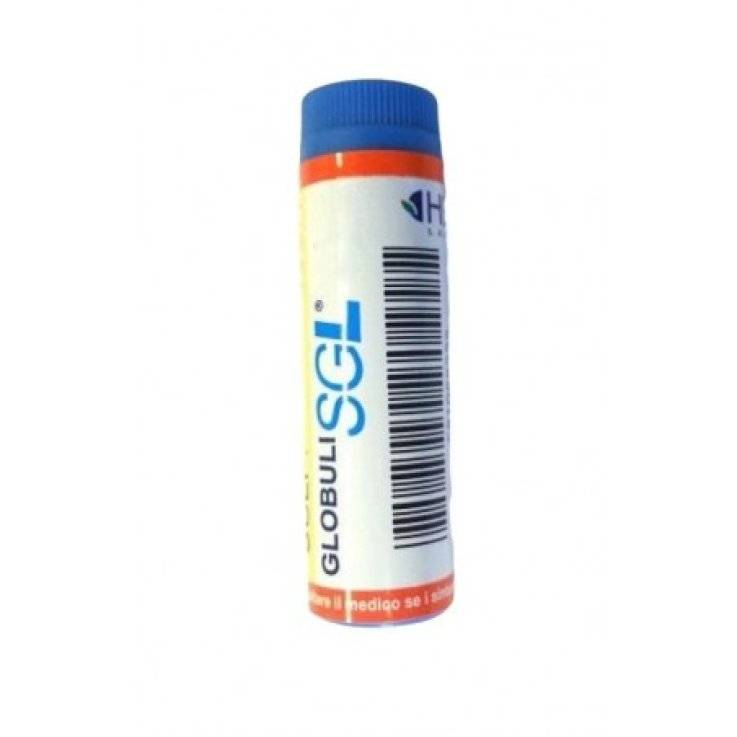 Hering Hypericum Perforat SGL 30 CH 4 G