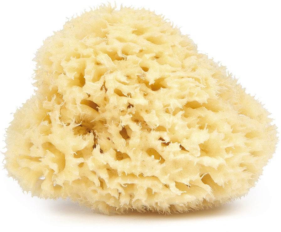 Wal Spugna Naturale Viso