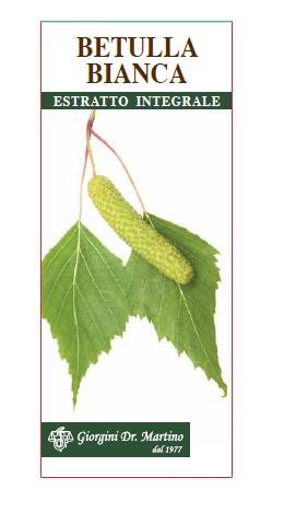 Betulla Bianca Estratto integrale 200 ml