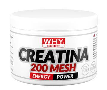 Whysport Creatina 200 Mesh Integratore di Aminoacidi per Sportivi 200 g