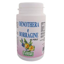 OENOTHERA BORRAGINE 40 PERLE