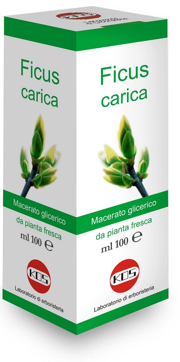FICUS CARICA MACERATO GLICERICO 100 ML