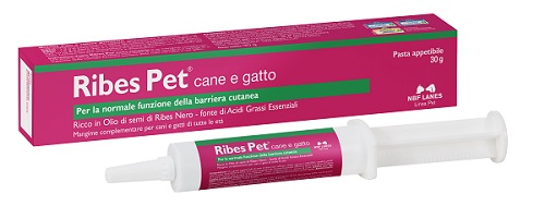 RIBES PET PASTA 30G